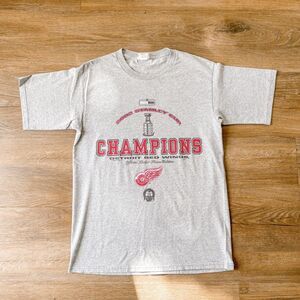 Men’s Redwings Grey Tshirt M